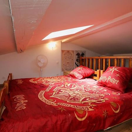 Apartamento Harry Potter - Le Logis Du Petit Sorcier - Clim Carcasona Exterior foto